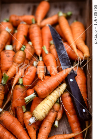 Assorted carrots with kitchen knife Assorted carrots with kitchen knife 136788768