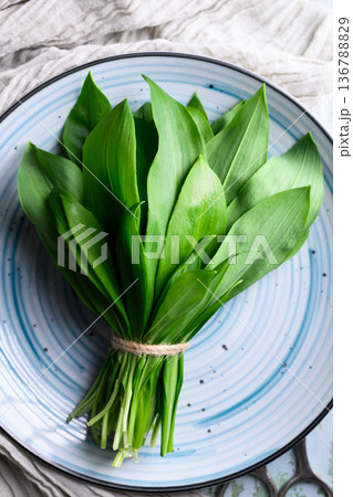 Fresh wild garlic leaves arranged on a blue plate 136788829