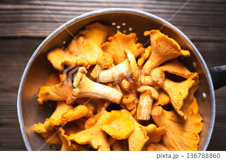Raw chanterelles in a metal colander ready for cleaning Raw chanterelles in a metal colander ready for cleaning 136788860