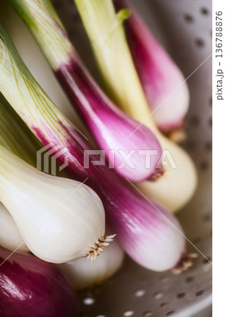 Spring onions in metal colander 136788876