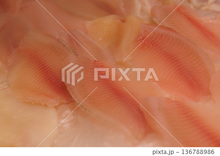 Freshly prepared tilapia fillets glisten under bright kitchen lights in a culinary workspace 136788986