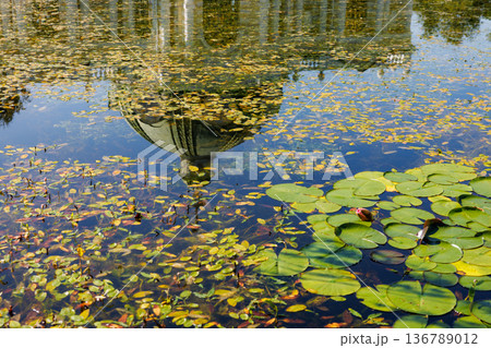 Reflection of a dome in a serene pond surrounded by lily pads and autumn leaves 136789012