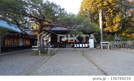 尾張富士大宮浅間神社 136789259