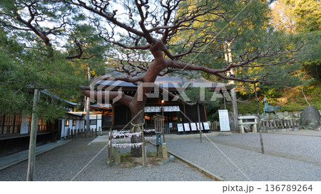 尾張富士大宮浅間神社 136789264