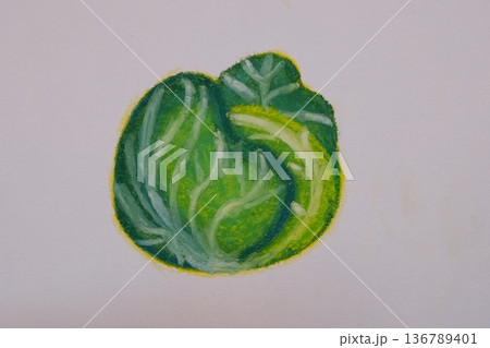 オイルクレパスで描いた美味しそうなキャベツ オイルクレパスで描いた美味しそうなキャベツ 136789401