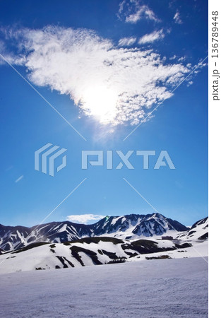 立山アルパイン　雪景色 136789448
