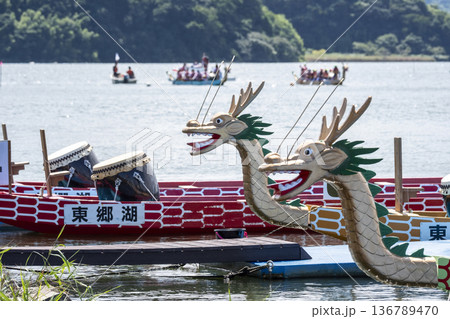 ドラゴンカヌー 東郷池 ドラゴンカヌー 東郷池 136789470