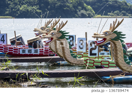 ドラゴンカヌー 東郷池 136789474