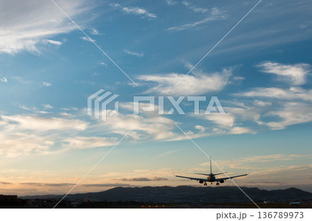 青空のもと滑走路へ降り立つ旅客機の風景 136789973