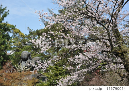 金沢　尾山神社 136790034