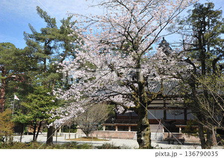 金沢 尾山神社 金沢 尾山神社 136790035