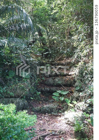 沖縄の城の風景 沖縄の城の風景 136790059