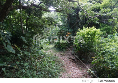 沖縄の城の風景 沖縄の城の風景 136790060