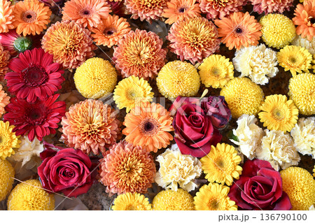 カラフルな花 136790100