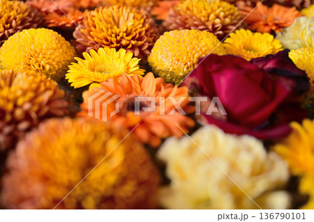 水に浮かぶ花 136790101