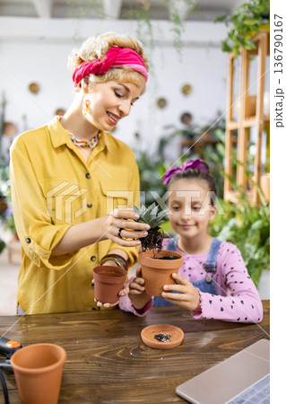 A woman and a young girl are enjoying a gardening activity together, repotting a small succulent plant 136790167