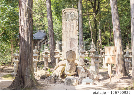 松江藩主　菩提寺　月照寺　松江藩の六代松平宗衍公　墓所　大亀の寿蔵碑 136790923