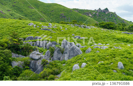 平尾台の景色 136791086