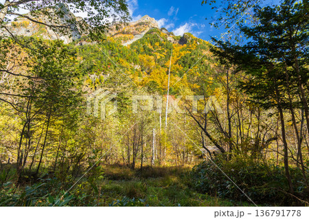 日本屈指の山岳リゾート　秋と紅葉の上高地 136791778