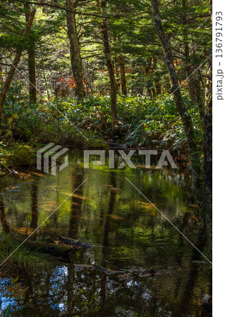 日本屈指の山岳リゾート　秋と紅葉の上高地 136791793