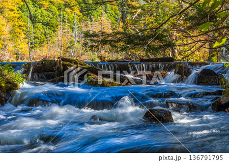 日本屈指の山岳リゾート　秋と紅葉の上高地 136791795