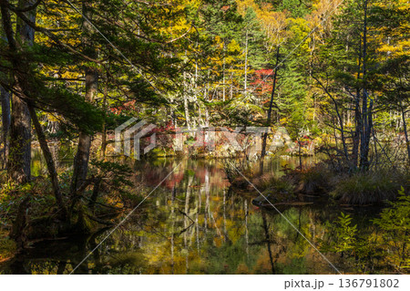 日本屈指の山岳リゾート 秋と紅葉の上高地 明神池 日本屈指の山岳リゾート 秋と紅葉の上高地 明神池 136791802