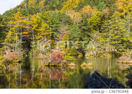 日本屈指の山岳リゾート　秋と紅葉の上高地　明神池 136791846