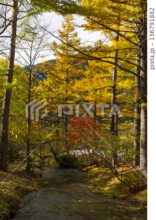日本屈指の山岳リゾート　秋と紅葉の上高地　小梨平 136791882