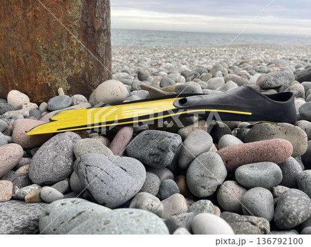 flippers on a rocky beach flippers on a rocky beach 136792100