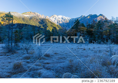 日本屈指の山岳リゾート　秋の上高地　早朝の田代湿原と穂高連峰 136792189