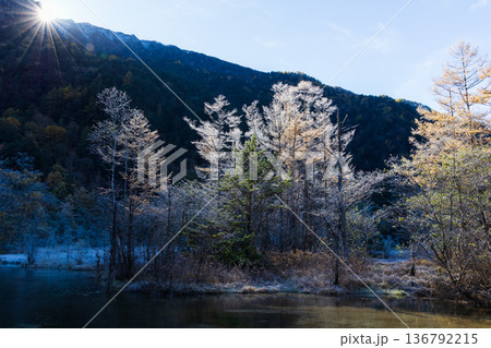 日本屈指の山岳リゾート　秋の上高地　早朝の田代池 136792215