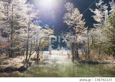 日本屈指の山岳リゾート　秋の上高地　早朝の田代池 136792225