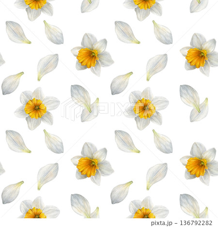 Seamless watercolor pattern with white narcissus flowers and scattered white petals. Perfect for fabric, wallpaper, wrapping paper, packaging and stationery design 136792282