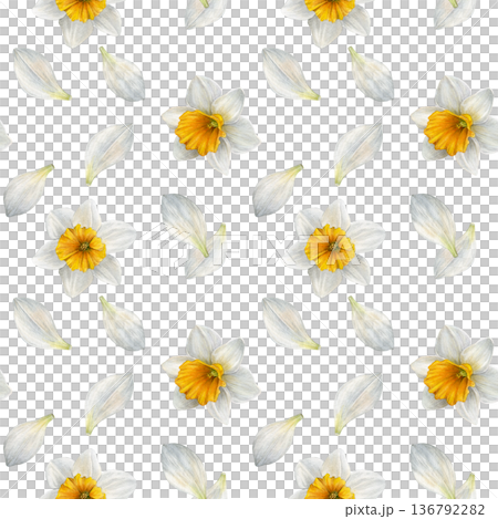 Seamless watercolor pattern with white narcissus flowers and scattered white petals. Perfect for fabric, wallpaper, wrapping paper, packaging and stationery design 136792282