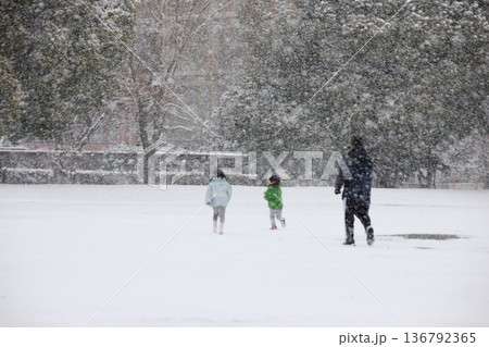 雪の降る公園で遊ぶ親子は寒さにも負けず楽しそう 雪の降る公園で遊ぶ親子は寒さにも負けず楽しそう 136792365
