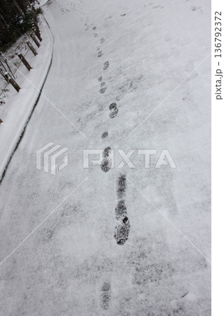 雪の上に残った足跡は何かの証拠のように 雪の上に残った足跡は何かの証拠のように 136792372