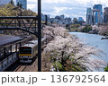 桜満開の桜と電車が走る風景 136792564
