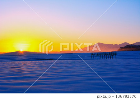 朝焼けの雪原のハサ木・越後三山雪景色 136792570
