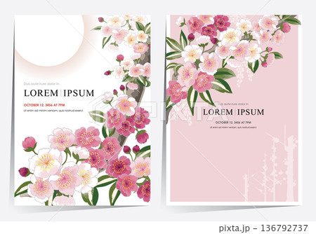Vector Illustration Template Set of Plum blossoms in full bloom on branches under a bright full moon Vector Illustration Template Set of Plum blossoms in full bloom on branches under a bright full moon 136792737