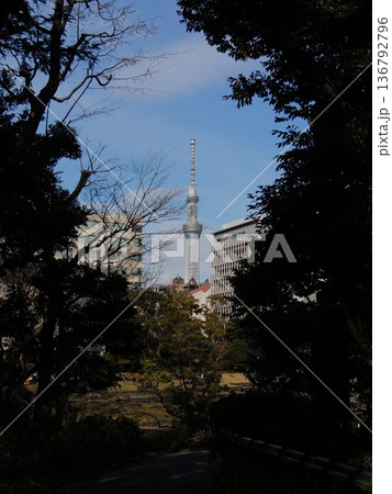【東京・墨田区】スカイツリーと安田庭園 【東京・墨田区】スカイツリーと安田庭園 136792796