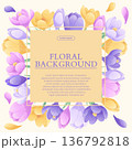 Colorful background with beautiful crocuses. The concept of spring, wedding, March 8th, mother's day, birthday. Vector illustration for the design of posters, flyers, postcards, invitations 136792818