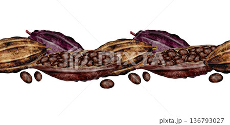 Cocoa bean watercolor seamless border. Hand-drawn cocoa fruit on a white background. Food clip art. Ideal for packaging chocolate and cocoa powder. 136793027