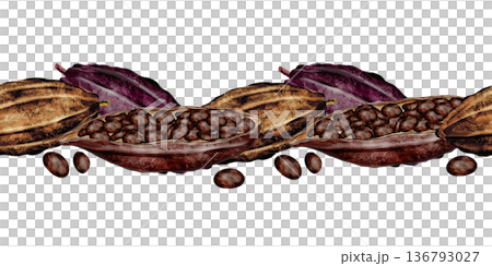 Cocoa bean watercolor seamless border. Hand-drawn cocoa fruit on a white background. Food clip art. Ideal for packaging chocolate and cocoa powder. 136793027