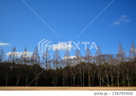 風景 136793408