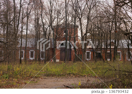 Ruins of an abandoned brick building nestled among bare trees on a quiet autumn day Ruins of an abandoned brick building nestled among bare trees on a quiet autumn day 136793432
