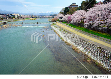 金沢 犀川の春 金沢 犀川の春 136793441