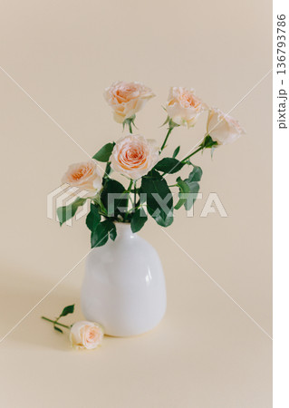 Tender Rose flowers in a vase on a pink pech pastel background. Tender Rose flowers in a vase on a pink pech pastel background. 136793786