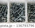 Metal screws in plastic organizer box close up hardware background 136793796