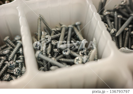 Close up of metal screws in plastic organizer compartment hardware background 136793797