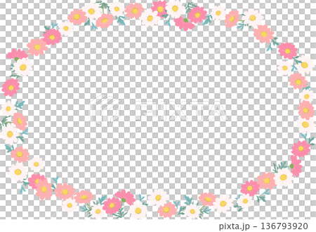 マーガレットの円形花フレーム（透過背景）春のフラットベクター枠素材 136793920